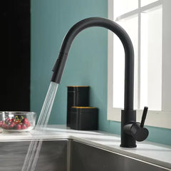 Flexible black cooking spaces, ribbed nozzle, stainless steel, hot and cold, 2 modes