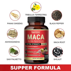 Supplengendrà maca root extract to support energy, endurance and athletic performance, mood and energy