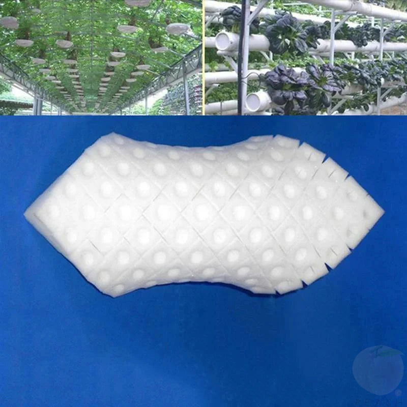 Éponge pour plantes hydroponiques, 100 pièces/feuille, culture de jardin, semis, Culture sans sol, outils de plantation, légumes, Pots de pépinière, plateaux