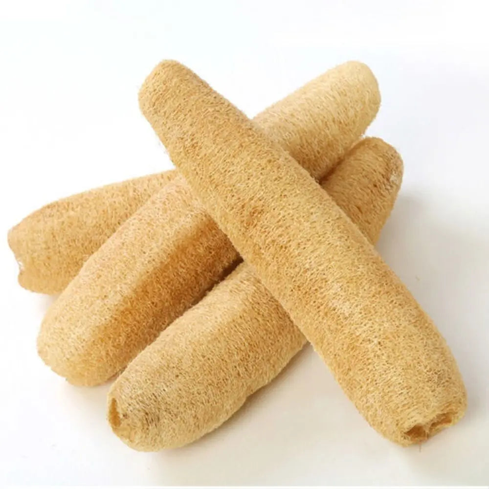 Éponge Luffa naturelle antiarina, bonne absorption, torchons de bain, éponge de douche Linge, plantation de pingouin long, luffa logique, cuisine