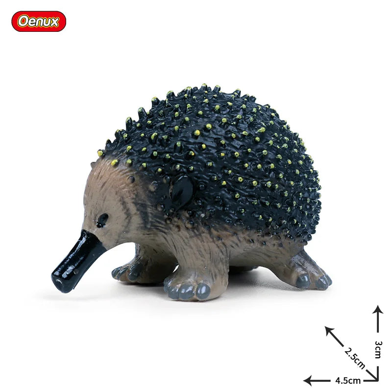 Classic Australian Wild Animals Kangaroos Koala Platypus Tasmanian Devil Echidna Cassowary Model Figurine Toy Child Gift