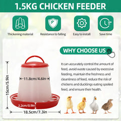 Mangeoire et abreuvoir pour poulet et volaille, distributeur automatique de nourriture et d'eau, seau d'alimentation, conteneur, approvisionnement agricole