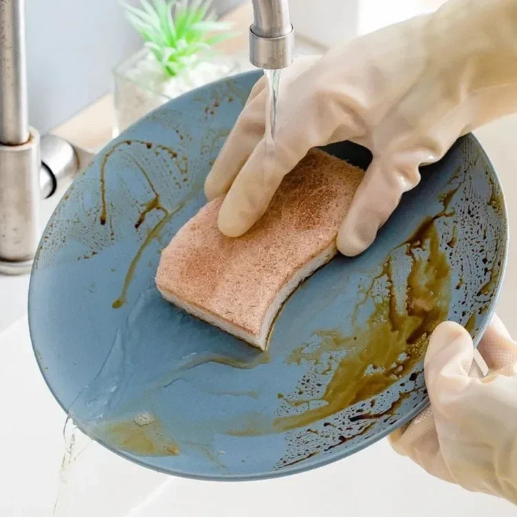 Éponges à récurer les plantes naturelles écologiques et éponge à récurer en noix de coco éponges naturelles pour la vaisselle accessoires de cuisine écologiques