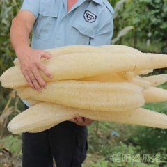 Éponge Luffa naturelle antiarina, bonne absorption, serviette de vaisselle, fourniture de bain et de cuisine