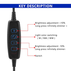 LED strip light kit for tourist information, flexible bar light, dimmer controller, USB, 0.5-5m, 5V, 120g/m, 3000K, 4000K, 6000K CCT, 4 buttons, 2m