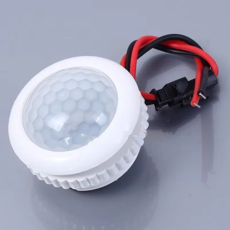 Lampe LED avec détecteur de mouvement PIR, interrupteur de vie intelligent, détection automatique, mini veilleuse sensible, 220V