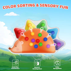 Jouets de tri des couleurs, jouets sensoriels pour les tout-petits, jeux de motricité Fine, jouets d'apprentissage Fidget, jouets hérisson Montessori assortis aux couleurs