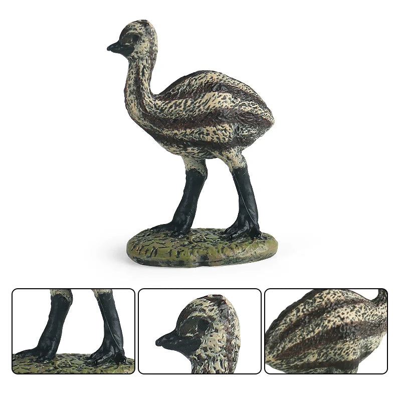 Classic Australian Wild Animals Kangaroos Koala Platypus Tasmanian Devil Echidna Cassowary Model Figurine Toy Child Gift