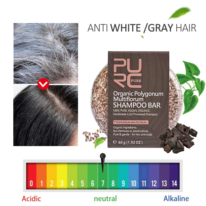 PURC-Shampoing en Polygonum pour Cheveux Gris et Blanc, Barre de Traitement du Cuir oral elu, au Charbon de Bambou de Regina, Solide, 60g