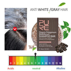 PURC-Shampoing en Polygonum pour Cheveux Gris et Blanc, Barre de Traitement du Cuir oral elu, au Charbon de Bambou de Regina, Solide, 60g