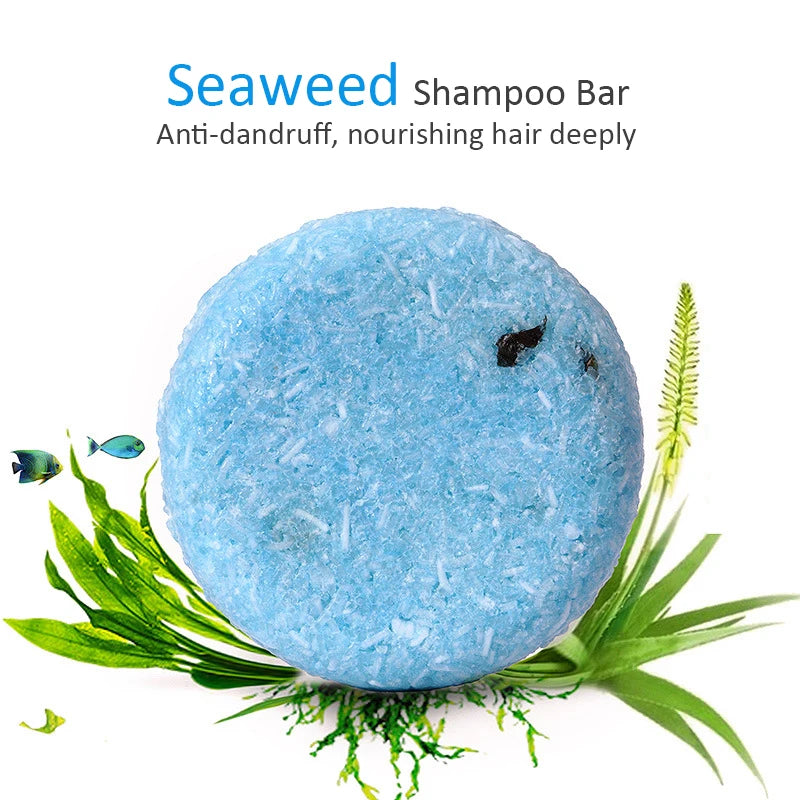 PURC-Shampoing en Polygonum pour Cheveux Gris et Blanc, Barre de Traitement du Cuir oral elu, au Charbon de Bambou de Regina, Solide, 60g