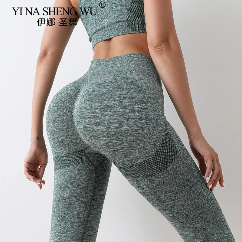 Ensemble de Yoga Shorts de gymnastique femmes Sport soutiens-gorge brassière Shorts d'entraînement pour femmes vêtements de Yoga Fitness Leggings ensemble de gymnastique soutien-gorge de Yoga sans couture