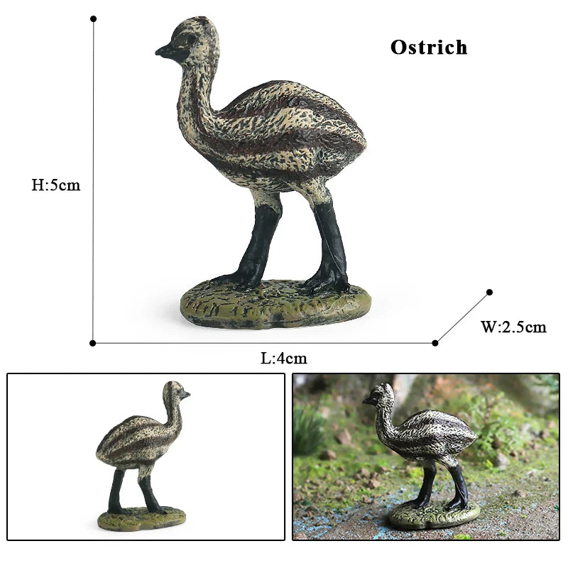 Classic Australian Wild Animals Kangaroos Koala Platypus Tasmanian Devil Echidna Cassowary Model Figurine Toy Child Gift