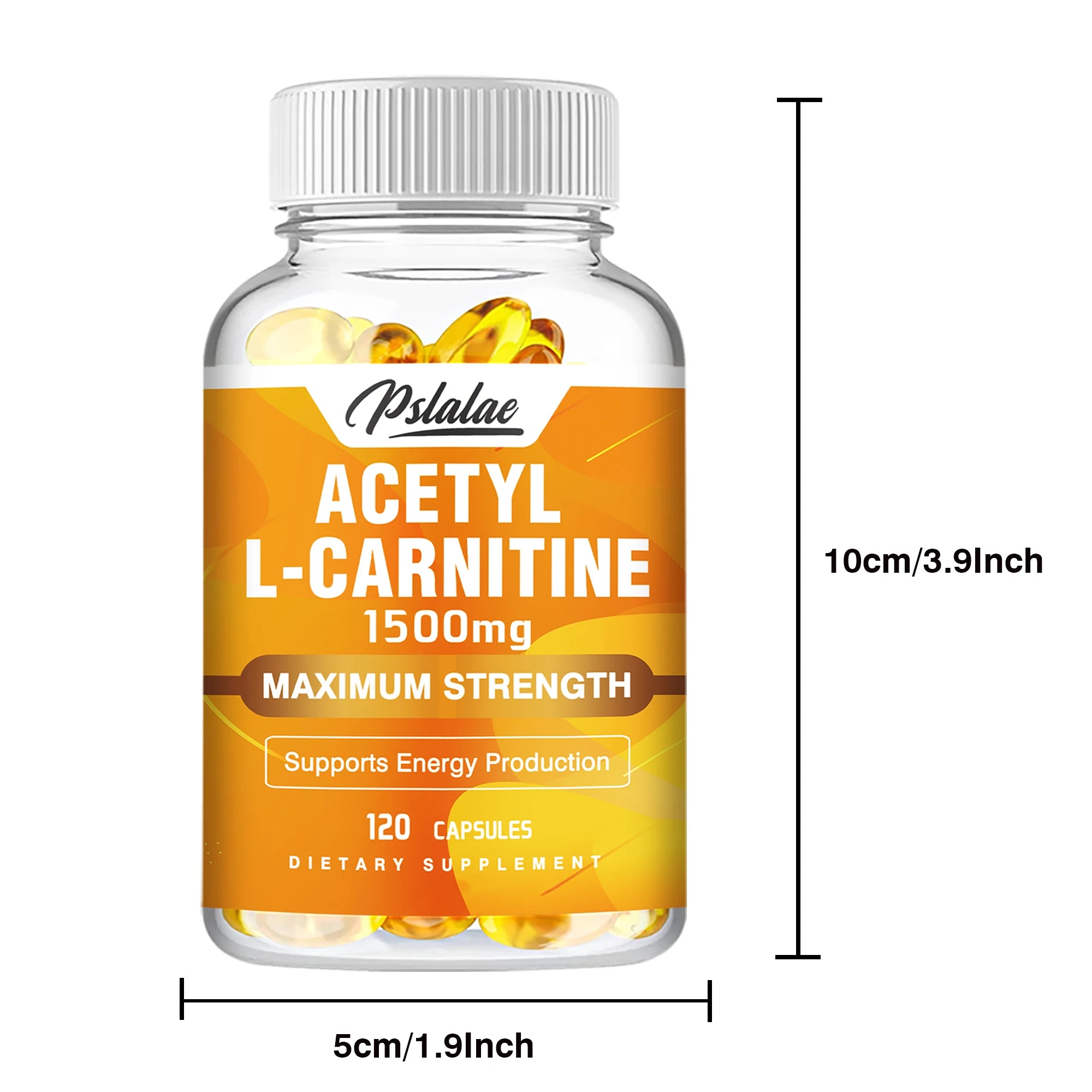 Acétyl L-carnitine - Supporte la concentration mémoire, augmente les performances du corps, la nutrition sportive, l'énergie métabolique - 120 capsules