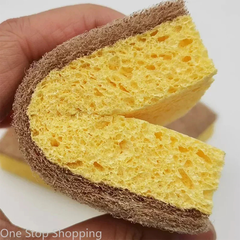 Paquet de 10 éponges naturelles biodégradables éponges de cuisine écologiques pour une vie durable éponge à vaisselle biodégradable à base de plantes