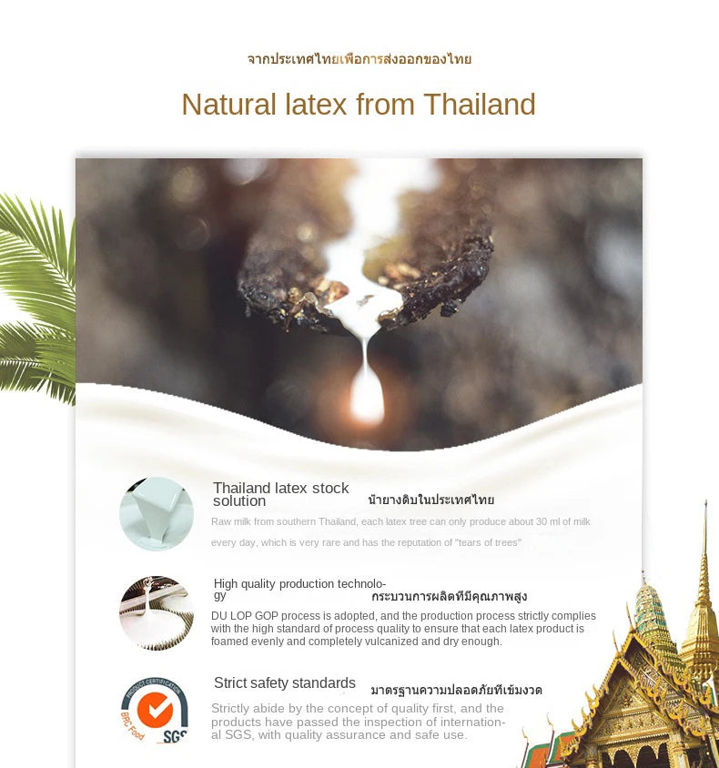 Matelas supérieur en Latex naturel 100%, Source de Latex haut de gamme, liquide pliable, tapis chinois à rebond lent avec housse en coton personnalisable