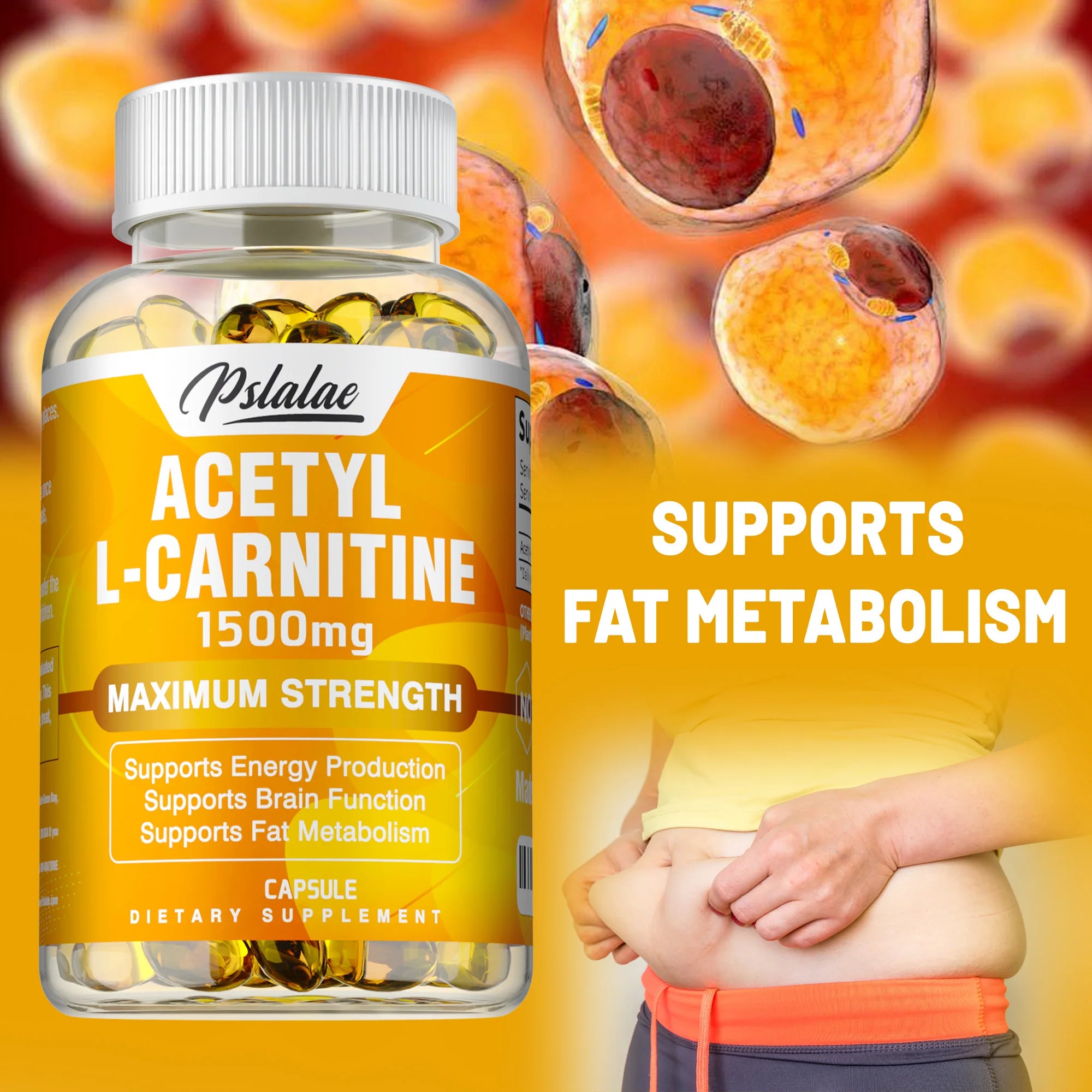 Acétyl L-carnitine - Supporte la concentration mémoire, augmente les performances du corps, la nutrition sportive, l'énergie métabolique - 120 capsules