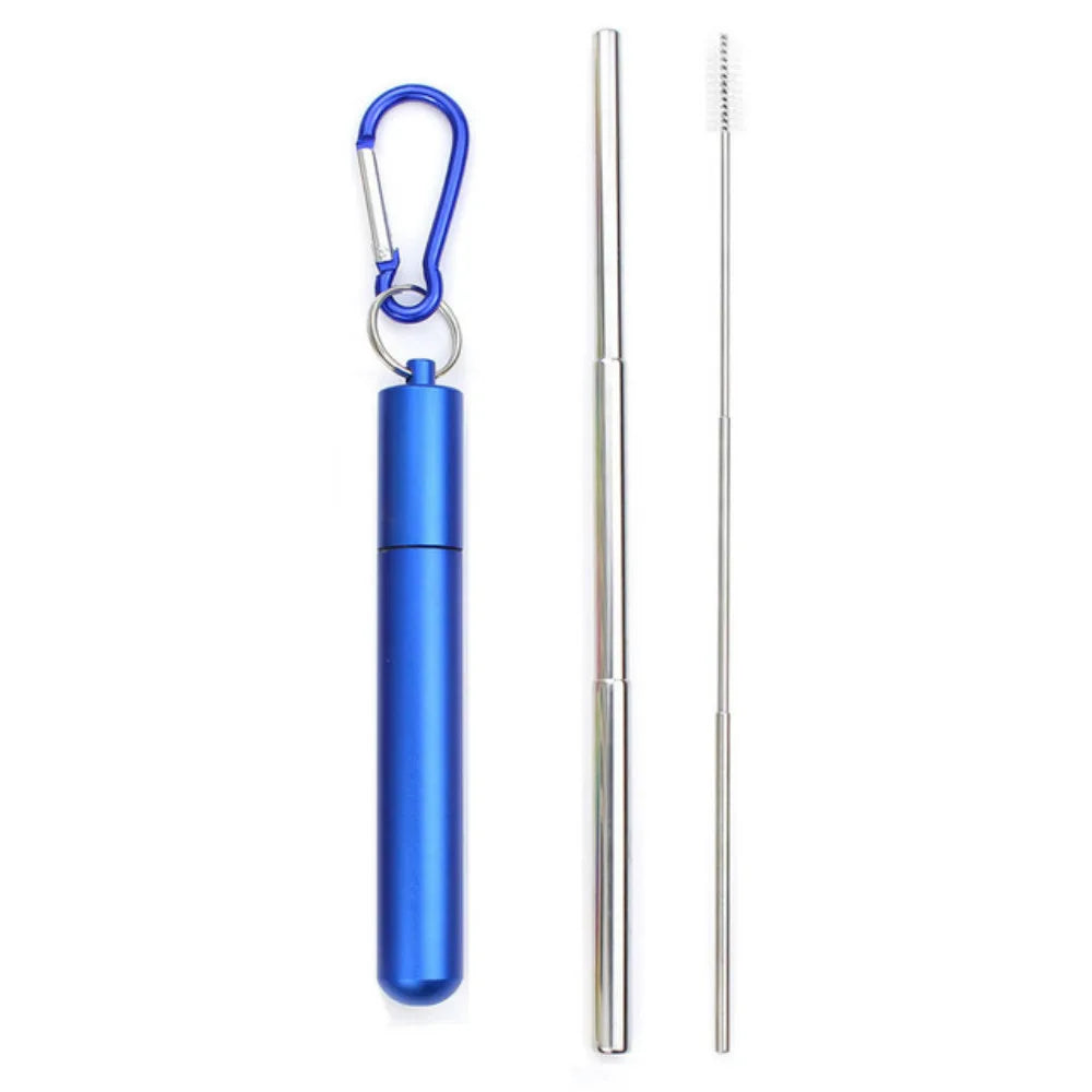 Paille Télescopique Réutilisable en Acier Inoxydable 304, Paille D.lique avec Brosse pour Livres, Ensemble de Pailles à Boire Portables pour Voyage avec Étui
