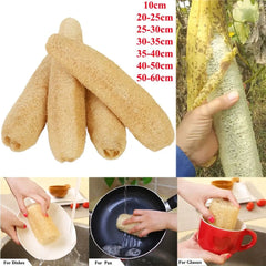 Éponge Luffa naturelle antiarina, bonne absorption, serviette de vaisselle, fourniture de bain et de cuisine