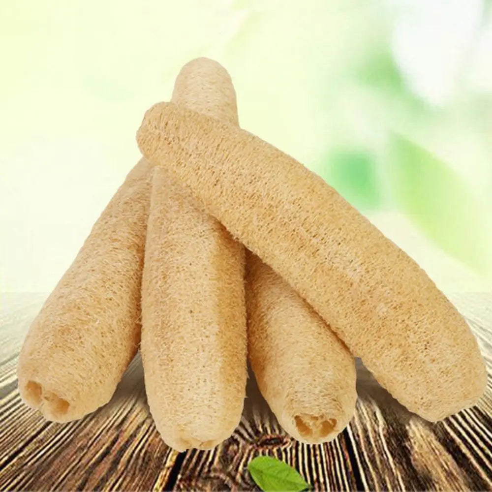Éponge Luffa naturelle antiarina, bonne absorption, torchons de bain, éponge de douche Linge, plantation de pingouin long, luffa logique, cuisine