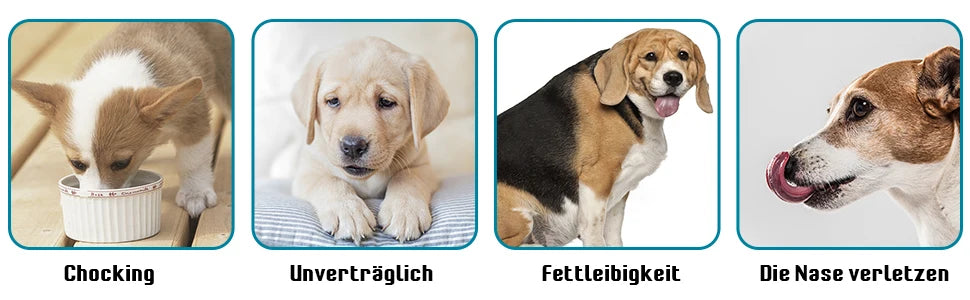Mangeoire pour animaux de compagnie, ventouse puissante, bol Anti-étouffement pour aliments lente, pratique, facile à nettoyer, temps d'alimentation étendu pour chiens, fournitures pour animaux de compagnie