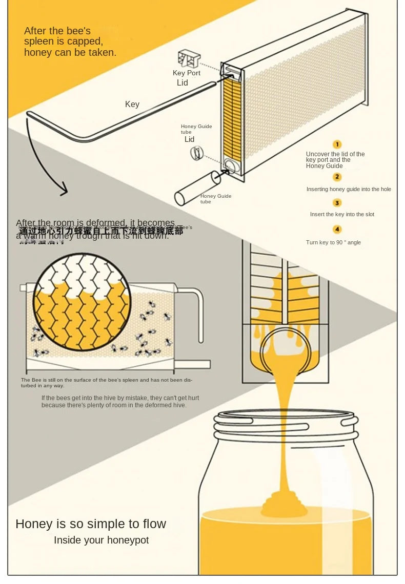 Dispositif de Flux existent de Miel pour Ruche d'Apiculture, Ensemble Complet d'Outils d'Apiculture, Nouveauté