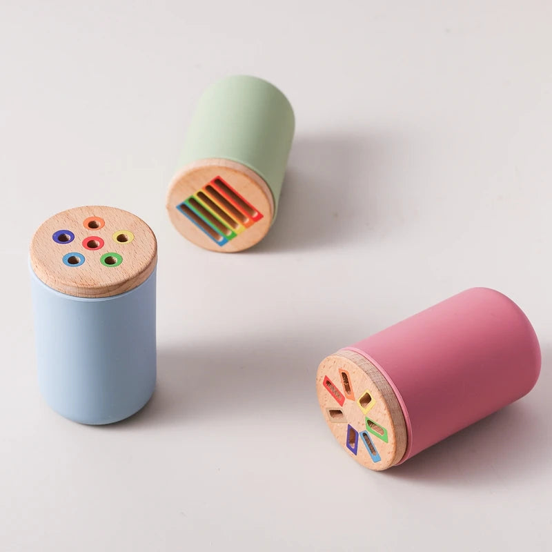 Jouets en bois Montessori, tri des couleurs, jouets à motricité Fine, jouets sensoriels assortis, Puzzle éducatif précoce, cadeau pour tout-petits