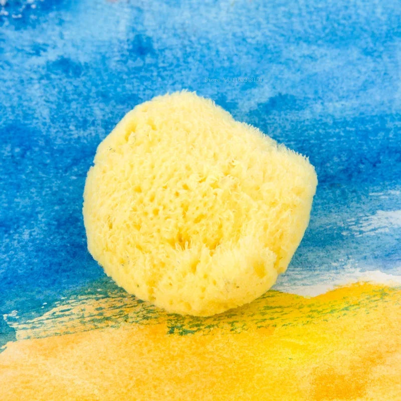 Peinture à l'aquarelle en éponge grecque naturelle, avec éponge absorbante, stylo d'essuyage, outil de nettoyage de Production de Texture spéciale