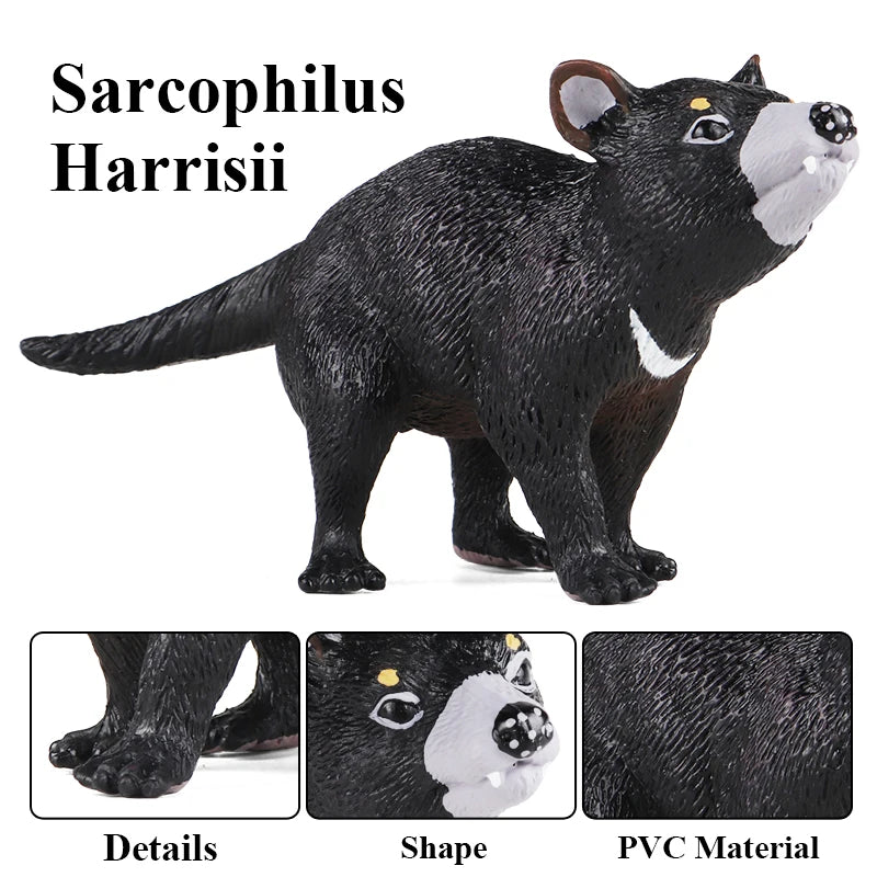 Classic Australian Wild Animals Kangaroos Koala Platypus Tasmanian Devil Echidna Cassowary Model Figurine Toy Child Gift