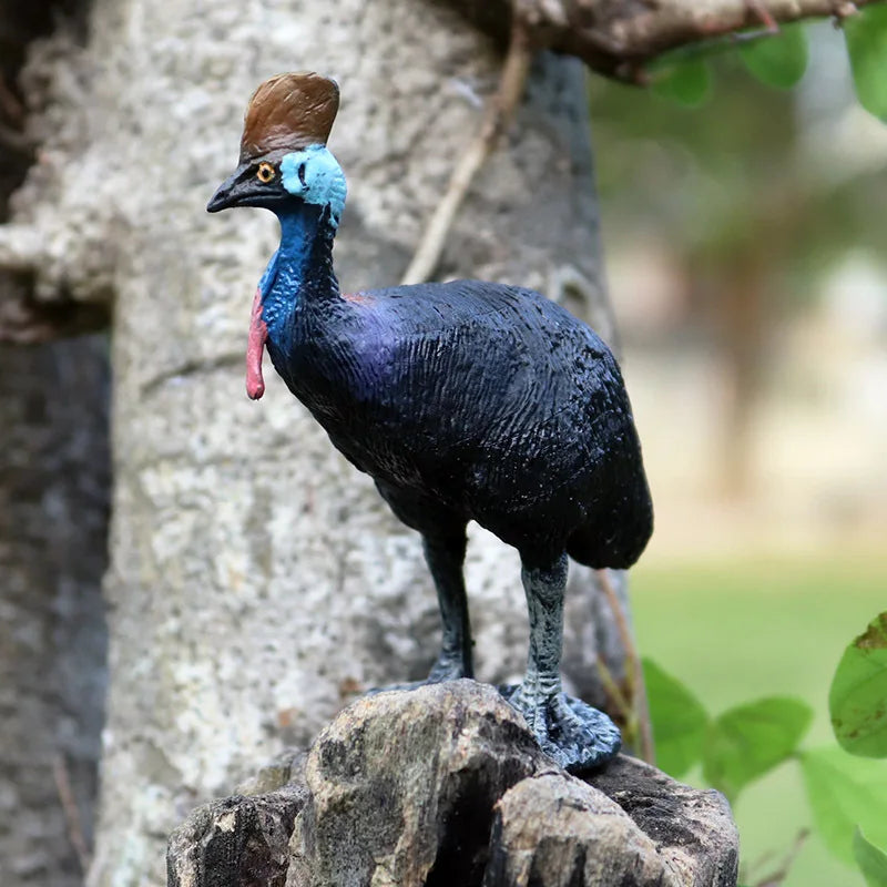 Classic Australian Wild Animals Kangaroos Koala Platypus Tasmanian Devil Echidna Cassowary Model Figurine Toy Child Gift