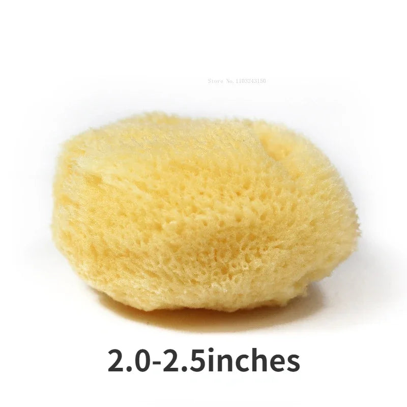 Peinture à l'aquarelle en éponge grecque naturelle, avec éponge absorbante, stylo d'essuyage, outil de nettoyage de Production de Texture spéciale