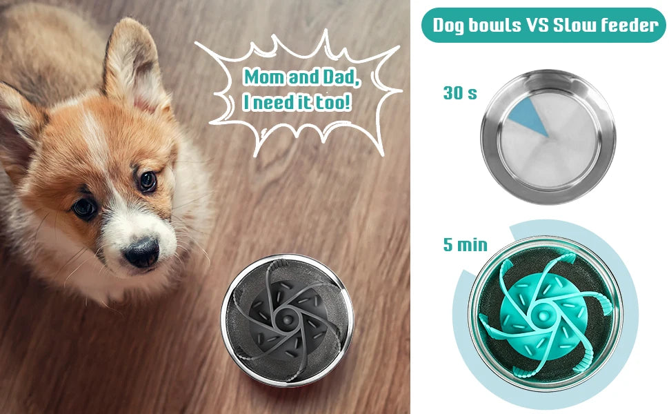 Mangeoire pour animaux de compagnie, ventouse puissante, bol Anti-étouffement pour aliments lente, pratique, facile à nettoyer, temps d'alimentation étendu pour chiens, fournitures pour animaux de compagnie