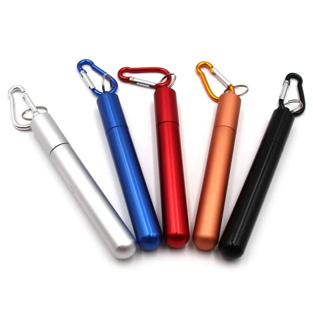 Paille Télescopique Réutilisable en Acier Inoxydable 304, Paille D.lique avec Brosse pour Livres, Ensemble de Pailles à Boire Portables pour Voyage avec Étui