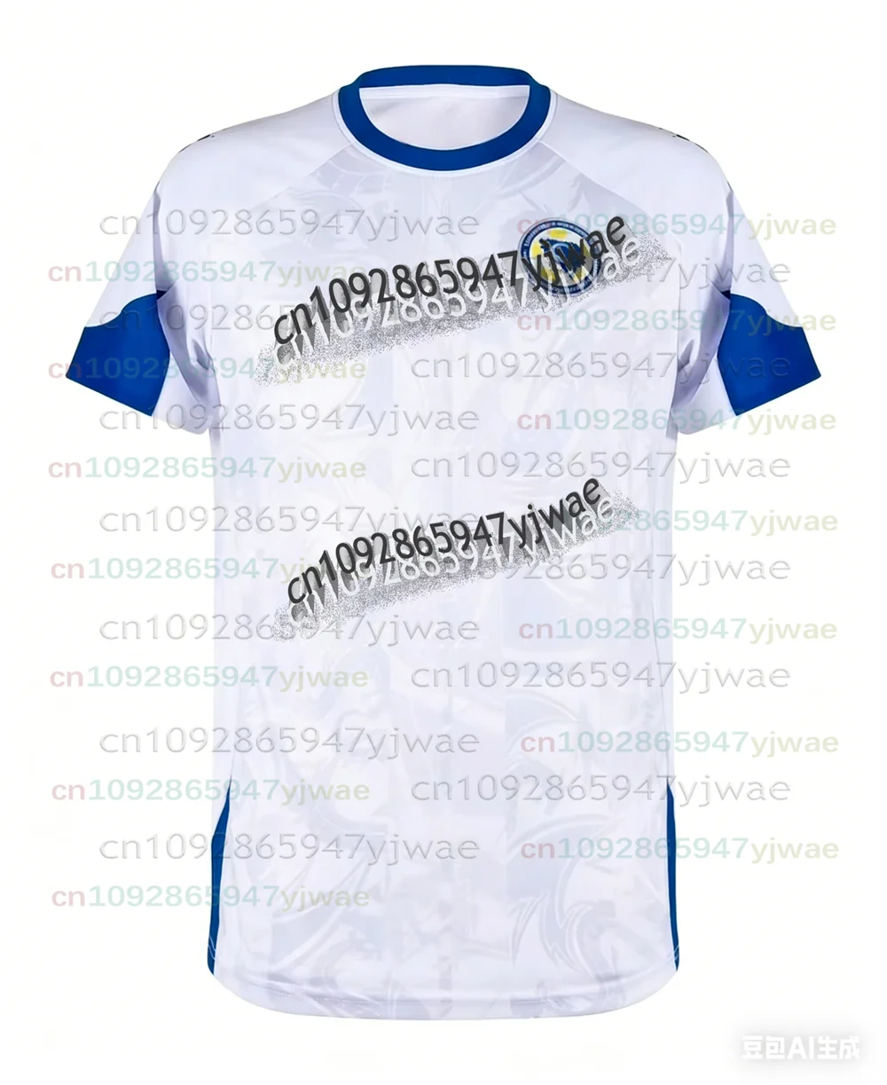 Maillot de football Bosnie-Herzégovine 2025-2026 DZEKO 11 – T-shirt de football pour homme, maillot d'entraînement domicile/extérieur bleu et blanc, uniforme de supporter