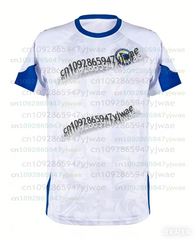 Maillot de football Bosnie-Herzégovine 2025-2026 DZEKO 11 – T-shirt de football pour homme, maillot d'entraînement domicile/extérieur bleu et blanc, uniforme de supporter