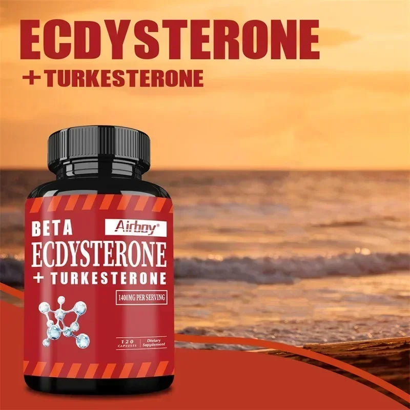 Suppléments Beta Ecdysterone et Turkesterone – Améliore l'endurance des exercices, augmente la masse musculaire et la masse musculaire magre