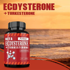 Suppléments Beta Ecdysterone et Turkesterone – Améliore l'endurance des exercices, augmente la masse musculaire et la masse musculaire magre