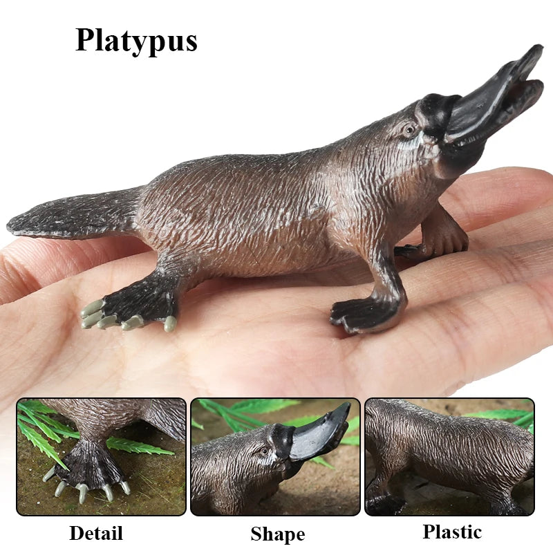 Classic Australian Wild Animals Kangaroos Koala Platypus Tasmanian Devil Echidna Cassowary Model Figurine Toy Child Gift