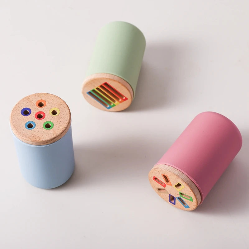 Jouets en bois Montessori, tri des couleurs, jouets à motricité Fine, jouets sensoriels assortis, Puzzle éducatif précoce, cadeau pour tout-petits