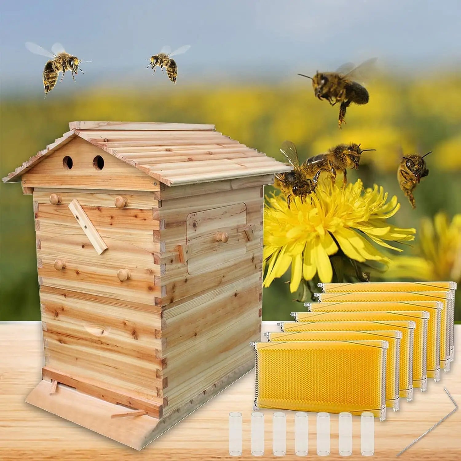 Dispositif de Flux existent de Miel pour Ruche d'Apiculture, Ensemble Complet d'Outils d'Apiculture, Nouveauté