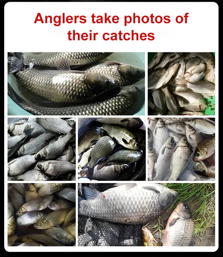 Appât de pêche en granulés, protéine animale, frais et humide