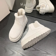 2025 nouvelles bottes de neige à semelles épaisses pour femmes en peluche chaude marque de luxe bottines de créateur hiver Mujer Botas nouvelles bottines pour femmes