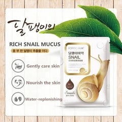 Masque Facial hydratant d'escargot, 10 pièces, réapprovisionnement, contrôle du sébum, feuille pour le visage tendre, soins pour la peau, cosmétiques coréens