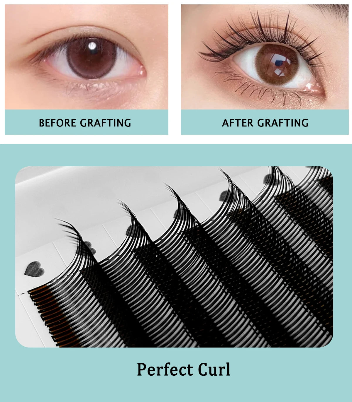 CoMango Qualité 5D Fée Fleur Flora Cils Préfabriqués Fans Cils Individuels Extension Maquillage Naturel Doux Fournisseur En Gros