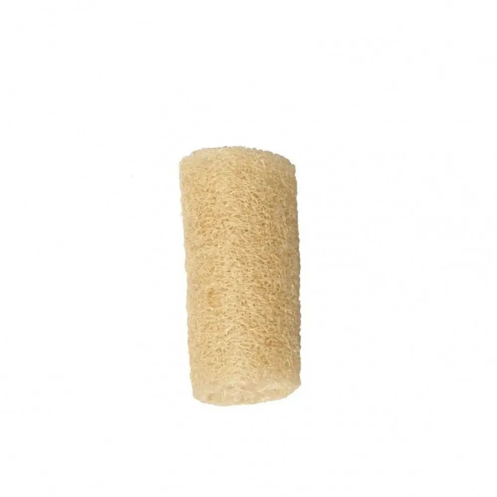Éponge Luffa naturelle antiarina, bonne absorption, torchons de bain, éponge de douche Linge, plantation de pingouin long, luffa logique, cuisine