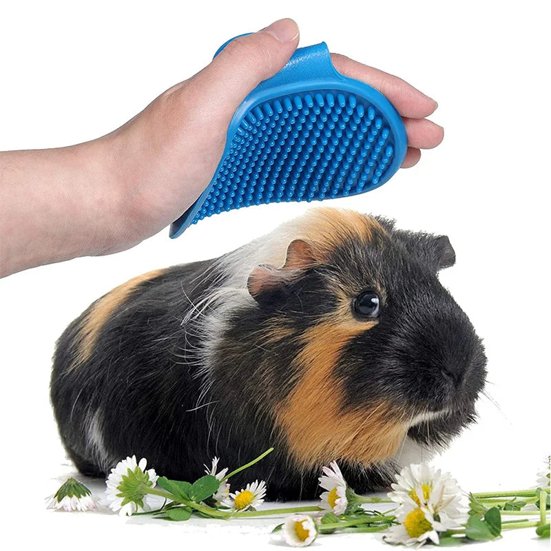 Kit de toilettage pour lapin, dissolvant de taches, peignes de nettoyage, coupe-ongles pour animaux de compagnie, shampoing Double face, brosse de bain pour cochon d'inde, lapin