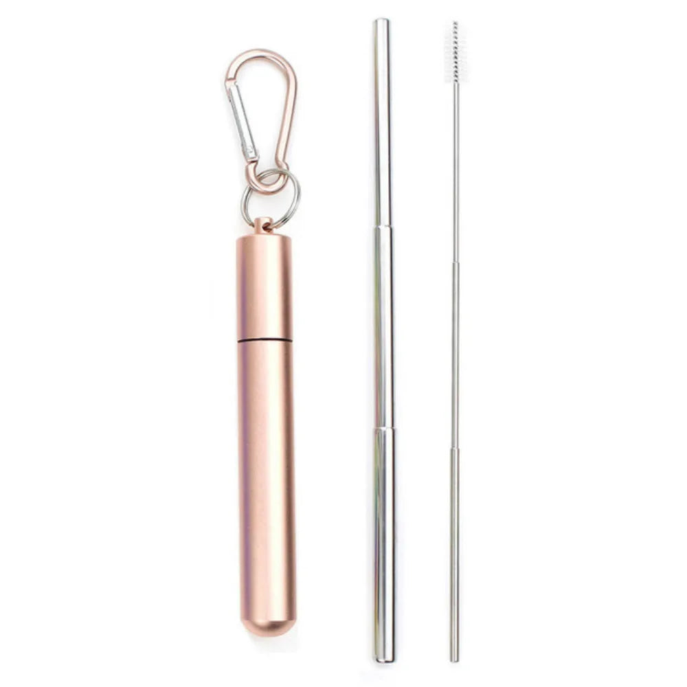 Paille Télescopique Réutilisable en Acier Inoxydable 304, Paille D.lique avec Brosse pour Livres, Ensemble de Pailles à Boire Portables pour Voyage avec Étui