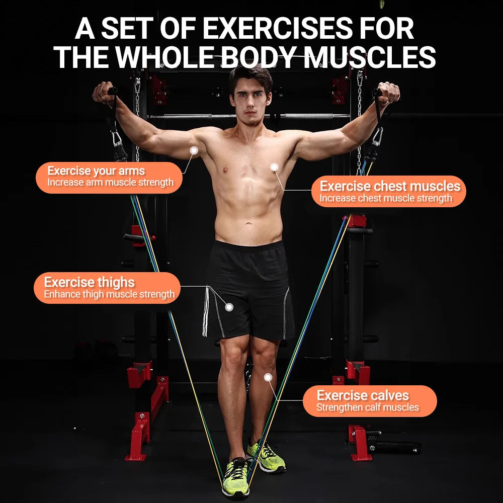 Ensemble de bandes de résistance de musculation, tendeur multifonction, ceinture d'entraînement musculaire, bandes élastiques, équipement de Fitness Portable