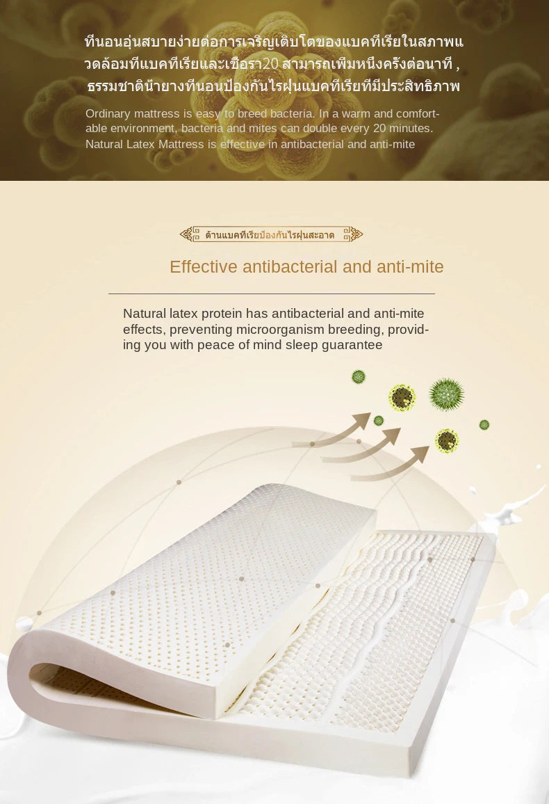 Matelas en latex naturel thaïlandais avec housse, matelas en caoutchouc pur, lit épaissi, coussin de dortoir à domicile, 100% m, 1.5m