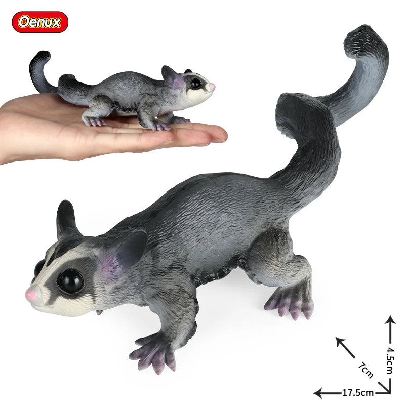 Classic Australian Wild Animals Kangaroos Koala Platypus Tasmanian Devil Echidna Cassowary Model Figurine Toy Child Gift